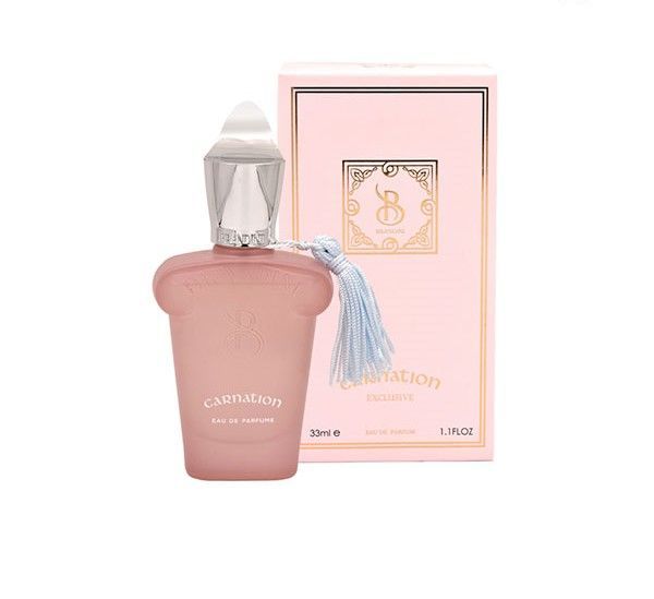 عطر جیبی برندینی کارنشن Brandini Carnation مردانه و زنانه ۳۳ میلی لیتر